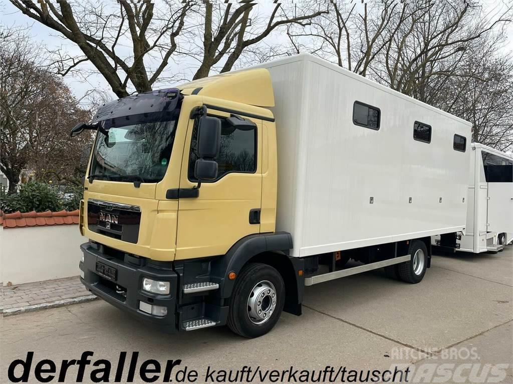 MAN 15250 6 Pferde neuer Aufbau, Automatik Camiões de transporte de animais
