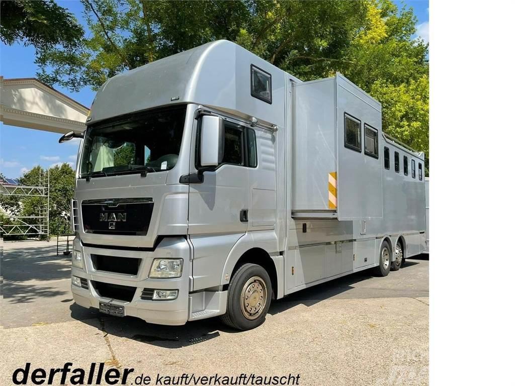 MAN TGX 26400 Gimmel 5-6 Pferde + Kiste, Popout Camiões de transporte de animais