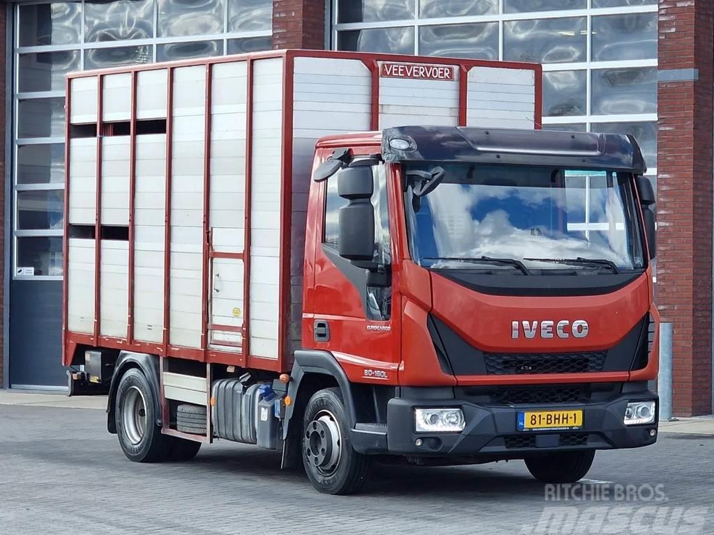 Iveco Eurocargo Livestock - Euro 6 - Low KM - Manual gea Camiões de transporte de animais