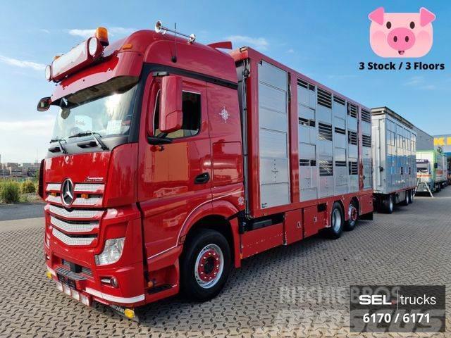 Mercedes-Benz Actros / Durchladezug / 3 Stock / Lenkachse Camiões de transporte de animais