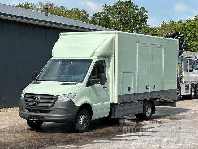 Mercedes-Benz Sprinter 519 CDI CAZOO Sportwagentransporter Camiões de Transporte Auto