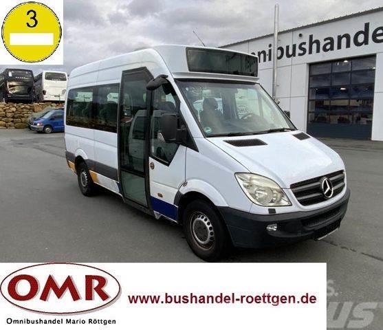 Mercedes-Benz Sprinter Mobility 311 CDI / 315 / 316 / 516 Mini bus